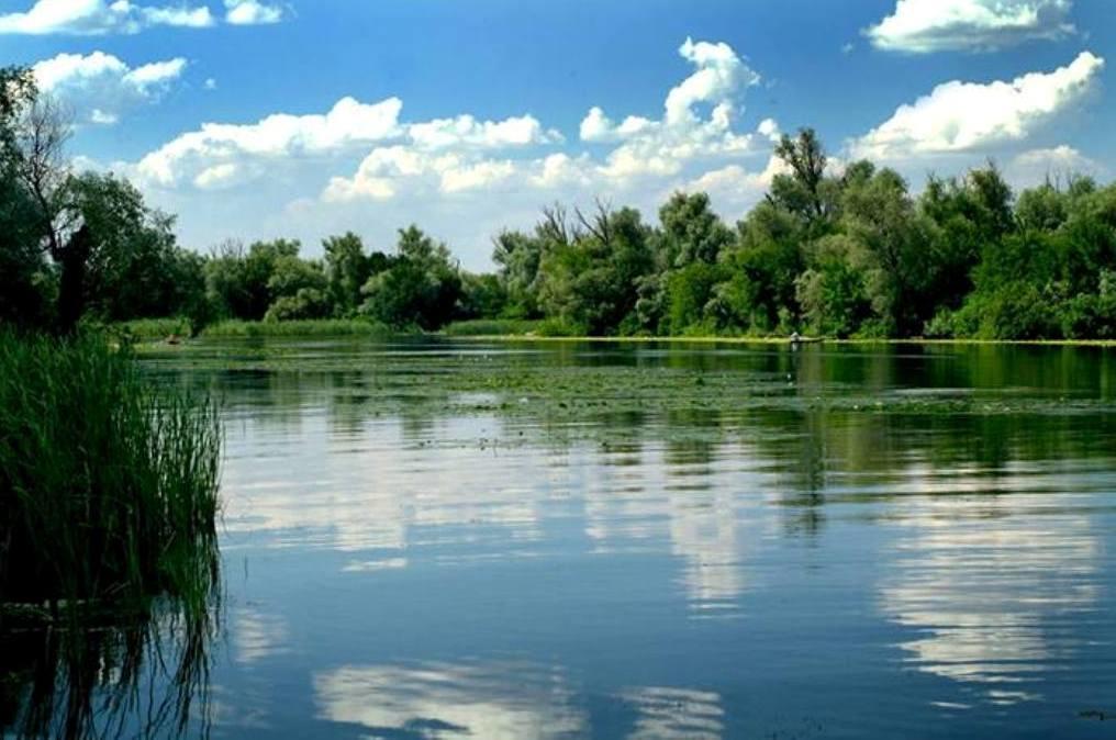 Family Complex Ekokomfort Sagunovka Luaran gambar